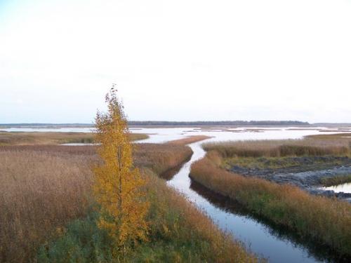 Weite Seenlandschaft (100_0953.JPG) wird geladen. Eindrucksvolle Fotos aus Lettland erwarten Sie.